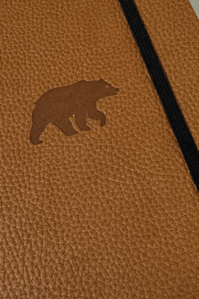 The brown bear Dingbats* Notebook